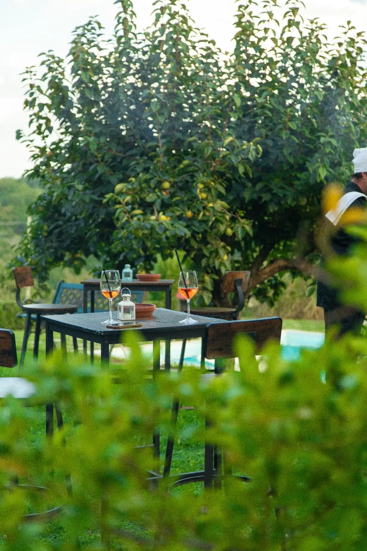 BBQ