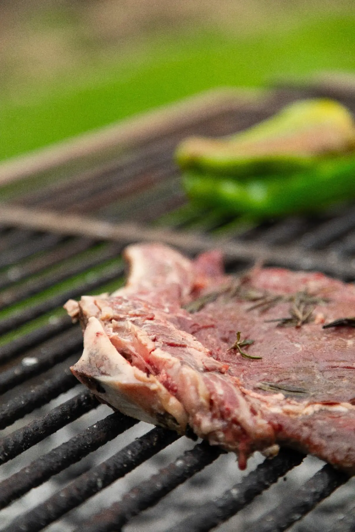 BBQ lunch