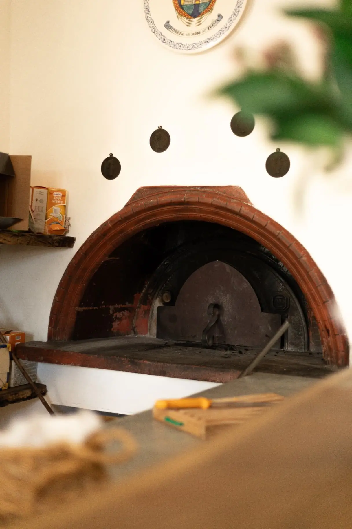 Traditional wood-fired oven